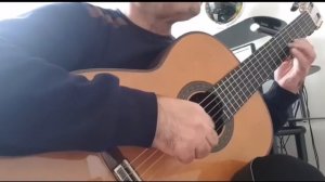 Allegretto by Dionisio Aguado played by Farzad Daneshmand