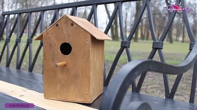 Все о скворечниках и их обитателях