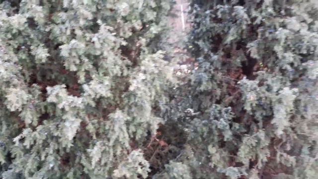 #хутор#жизньнахуторе#хутор_у_меня_во_дворе/