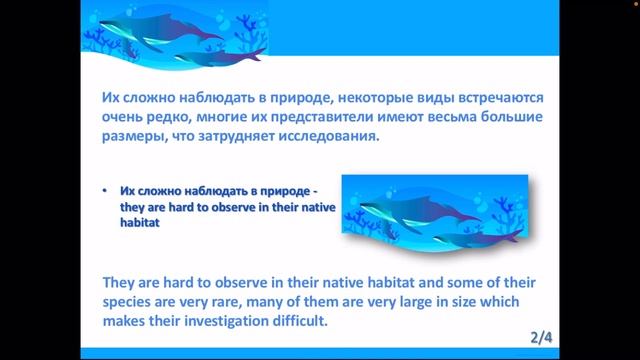 Практика перевода с русского на английский. Коваленко Е.В. смотреть онлайн