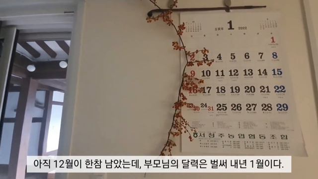귀농부부 일상 브이로그ㅣ고등어조림에 된장찌개ㅣ 돼지부속구이에 가리비ㅣ(집밥, 언택트 여행) смотреть онлайн
