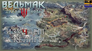 18. Ведьмак: дикая охота🐺🗡️🏰/ Изучаем Скелиге