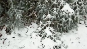 9 января. Степанов день. Что категорически нельзя делать/Народные приметы