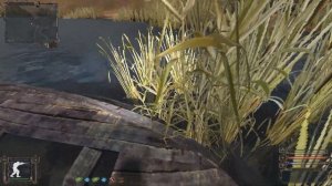 Дембельский тайник на Болоте " Народная солянка 2016 "