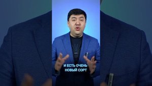 Сладкие сорта клубники