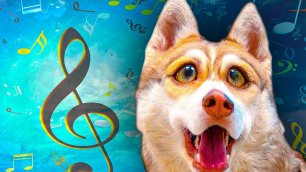 Я САМЫЙ МУЗЫКАЛЬНЫЙ ПЁС на YouTube!! (Хаски Бублик) Говорящая собака Mister Booble