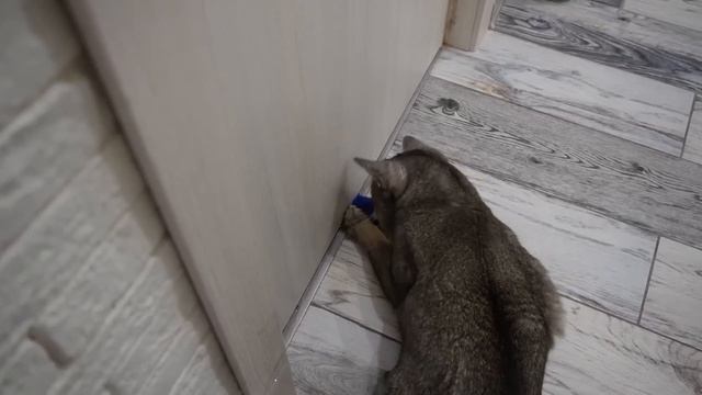 ЗРЯ МЫ ВЫБРОСИЛИ ХАГИ ВАГИ смотреть онлайн