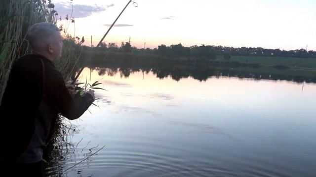 В погоне за монстром водоема"золотой сазан"Часть 2. рыбалка Запорожье.Капфишинг 2020.бюджетные груз смотреть онлайн