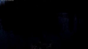 Добыча ондатры капканами.