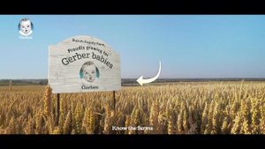 GERBER Organic for Baby (30s)