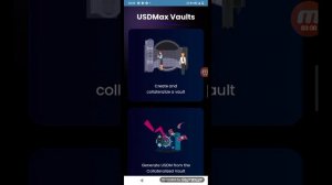 New token project full review usdmax profitable project 2022