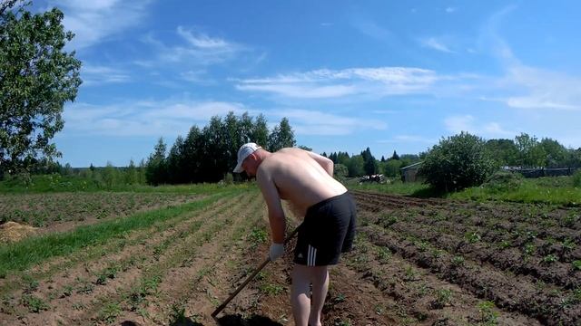 КАК Я ЗАГОРАЛ НА КАРТОШКЕ С ТяПкОй(МОТЫГОЙ) смотреть онлайн