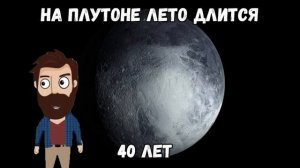 Лютые приколы. МЫ КУПИЛИ СОБАКУ!!! Попробуй не засмеяться! РЖАКА ДО слёз! – Domi Show!