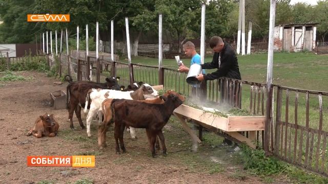 9 миллионов рублей выделено Беловскому детскому дому на ремонт и благоустройство смотреть онлайн