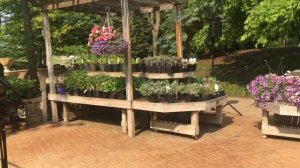 Bose S1 Pro for Wedding Ceremony Use