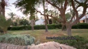 Naama bay для новичков , а для «бывалых» ностальгия. Экскурсии в Шарм Эль Шейх от Лены