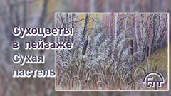 Сухоцветы в пейзаже. Сухая пастель