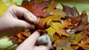 Мастер класс роза из листьев. Как сделать розу из осенних листьев.