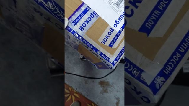 Доставка Авито Почтой России