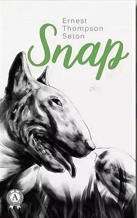 Сетон-Томпсон Эрнест - Снап.mp4