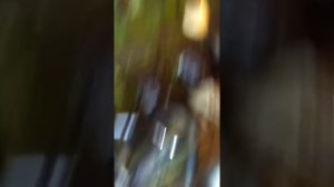 Масляный насос на 1к62