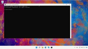 Как удалить файлы в Windows 11 навсегда