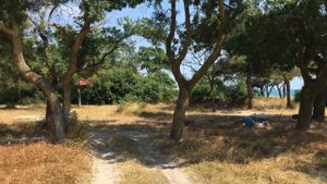 Геленджик. Кемпинга больше нет!