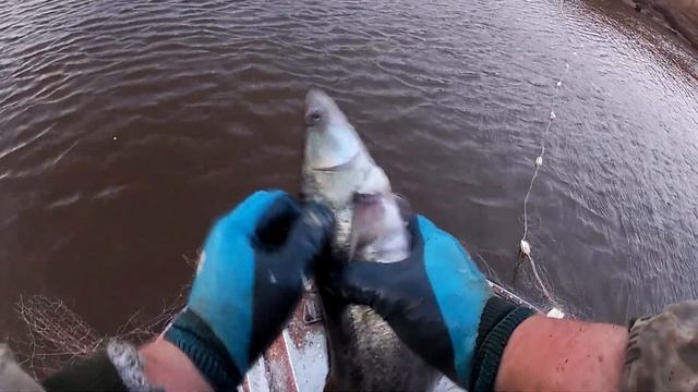 РЫБАЛКА СЕТЯМИ НА ЩУКУ. Рыбалка на Амуре. смотреть онлайн