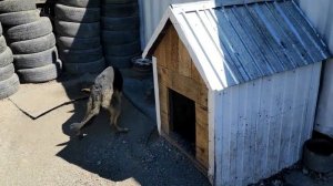 Пассат б4 заднее крыло