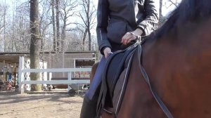 Как правильно сесть на лошадь