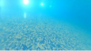 Новосибирский аквапарк! Самый большой аквапарк в Сибири. Куда сходить в Новосибирске?