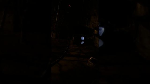 Вечер в центре города, какого то пьяного забирают ППС )) каждый день что то интересное да произойдё смотреть онлайн