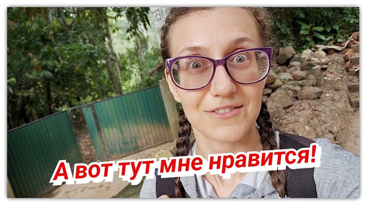 #105 Уезжаем из Коломбо в горы! Нашли райский уголок! (Шри-Ланка) смотреть онлайн