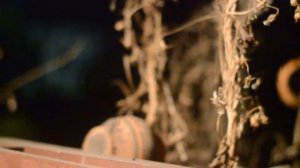 Первомайские дикие песнИ "В эту ночь никто не сможет нам помочь"