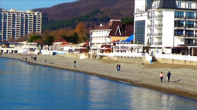 ✽Море сегодня 30.12.2020 Рыбалка .Красивая собака..Отдыхающие.Чайка.Лазаревское.Сочи 2020 погода смотреть онлайн