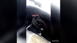Honda Civic 5d замена повторителя поворота на зеркале.