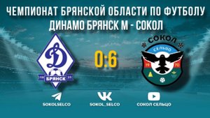 Динамо-Брянск-М (Брянск) - Сокол (Сельцо) 28.7.24 обзор матча