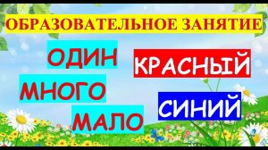 Образовательное занятие Тема Один много мало Цвета красный и синий