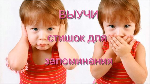Как првильно говорить носок или носков?