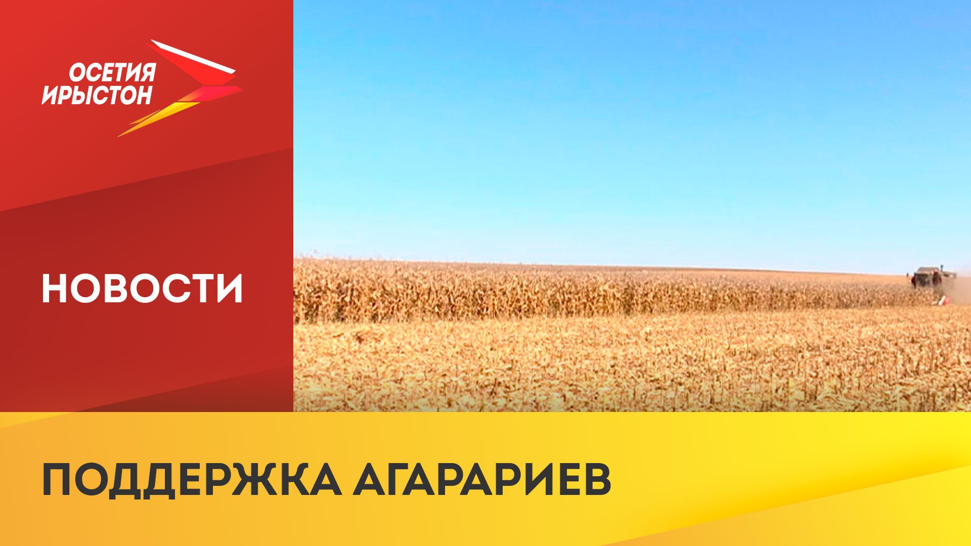Глава Минсельхоза рассказал о мерах адресной поддержки производителей зерна