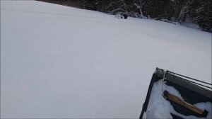 БТС АРКТИК И ЛИДЕР ЛОНГ ТОЛКАЧ, ТЕСТ ЗАКОНЧИЛСЯ ТАК И НЕ НАЧАВШИСЬ)))