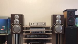 Колонки Эстония 35 ас-021 и усилитель Luxman l-235
