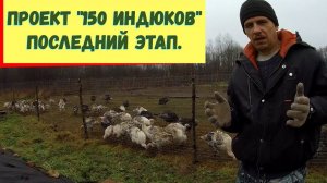 САМЫЙ ДОЛГОЖДАННЫЙ ПЕРИОД в ПРОЕКТЕ "150 ИНДЮКОВ"