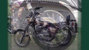 SUZUKI INTRUDER 250