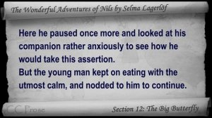 12 - The Wonderful Adventures of Nils by Selma Lagerlöf - The Big Butterfly