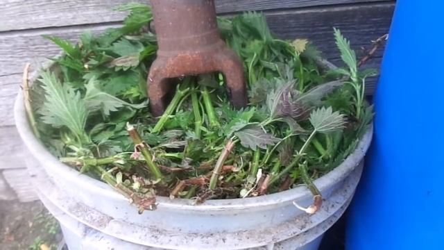 Готовим супер удобрение для подкормки овощных и цветочных культур