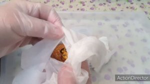 Как Прорастить Грецкий Орех и Какой Способ Удался ?