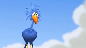 More the Birds