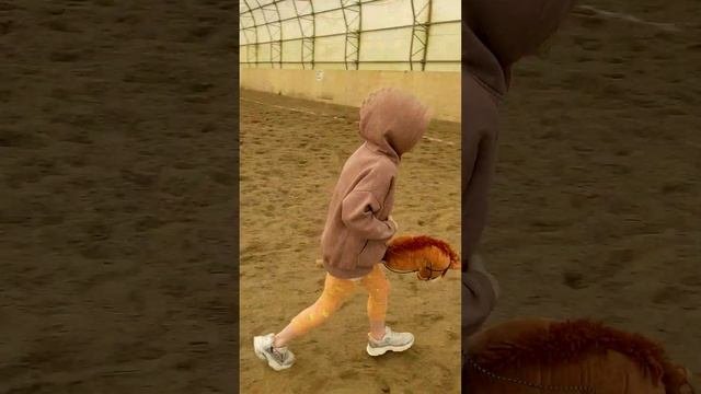 Тирьям тирьям Хоббихорсы