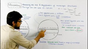 Micrometry | A technique of measuring size | Video 23